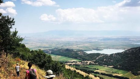 FB_IMG_1572343194764-3